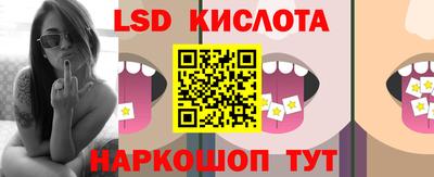 твердый Будённовск