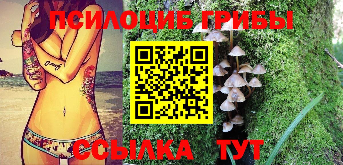 Галлюциногенные грибы Psilocybe Первоуральск