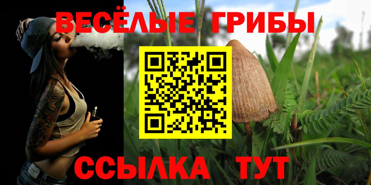 Первоуральск  Галлюциногенные грибы мухоморы  Вход с VPN 